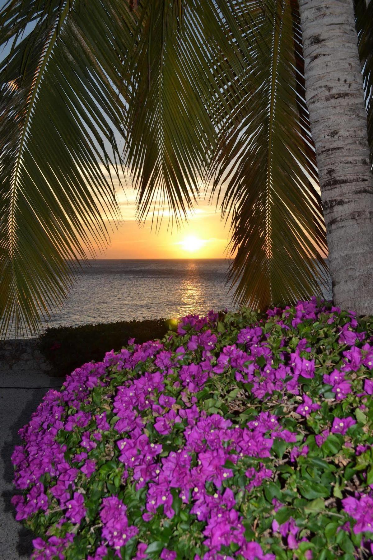 Lagun Blou Dive And Beach Resort Экстерьер фото